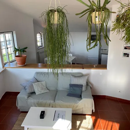 No Ceu - A Fully Private Flat In The Sky With Ocean View Атогиа-да-Балейя