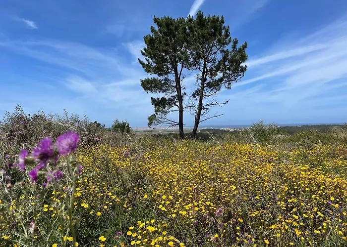 Appartamento No Ceu - A Fully Private Flat In The Sky With Ocean View *