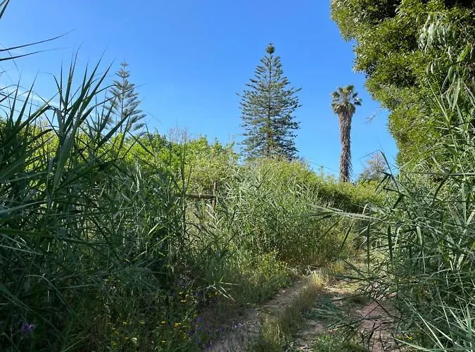 Appartamento No Ceu - A Fully Private Flat In The Sky With Ocean View Atouguia Da Baleia