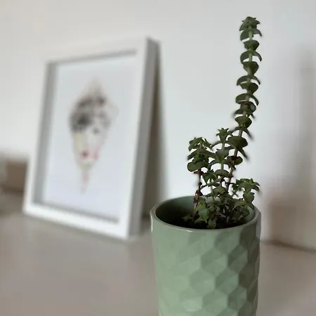 No Ceu - A Fully Private Flat In The Sky With Ocean View Atouguia Da Baleia