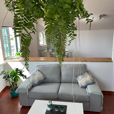 No Ceu - A Fully Private Flat In The Sky With Ocean View Apartment