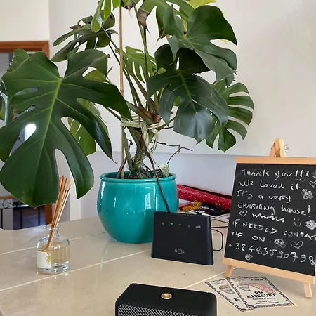 Apartment No Ceu - A Fully Private Flat In The Sky With Ocean View *