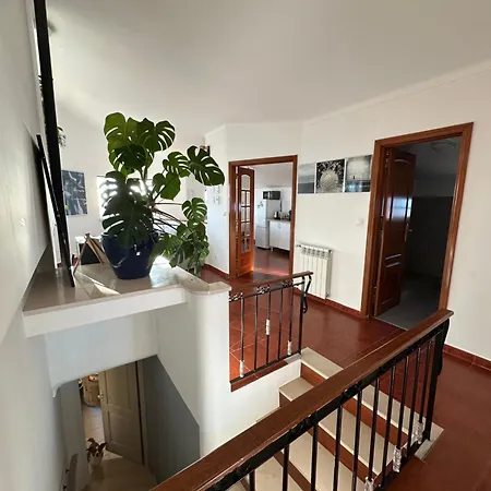 Apartment No Ceu - A Fully Private Flat In The Sky With Ocean View